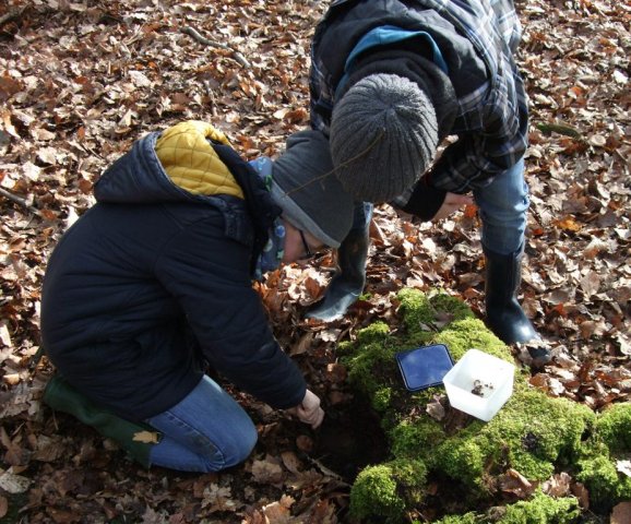 Im Biologiezentrum Bustedt